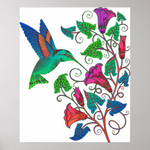 Rainbow Hummingbird Poster