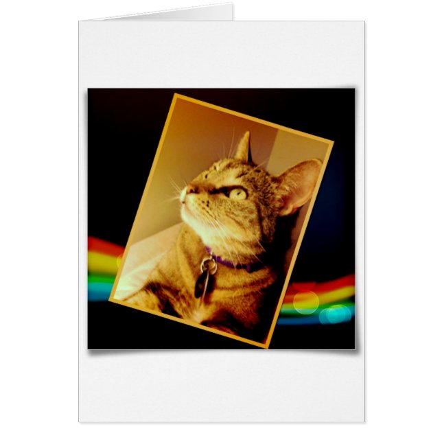 Rainbow Indigo (Voorkant)