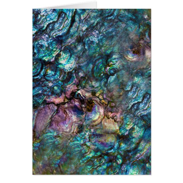 Rainbow Iridescente Abalone Sea Shell Merci (Devant)