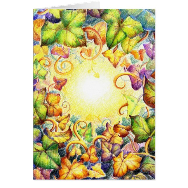 Rainbow Ivy Eye (Voorkant)