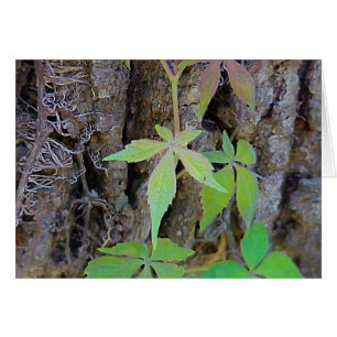 Rainbow Leaves-kaart