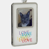 RAINBOW LIEFDE Verticaal ingelijste foto Ornament (Rechts)