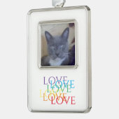 RAINBOW LIEFDE Verticaal ingelijste foto Ornament (Links)