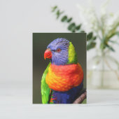 Rainbow Lorikeet Briefkaart (Staand voorkant)