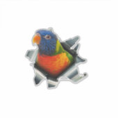 Rainbow Lorikeet Decal – Colorful Parrot Sticker (Voorkant)