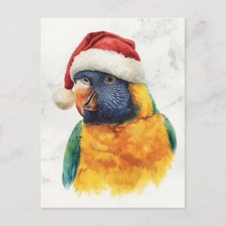 Rainbow Lorikeet in Santa Hat Watercolor Feestdagenkaart