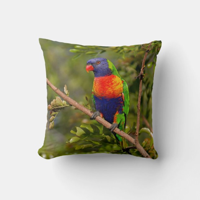 Rainbow Lorikeet Kussen (Voorkant)