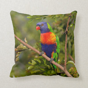 Rainbow Lorikeet Kussen
