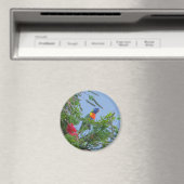 Rainbow Lorikeet Magneet (Insitu (Vaatwasser))