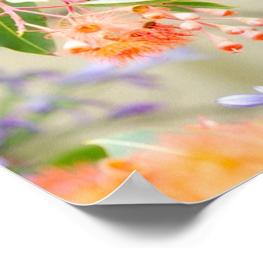 Rainbow Lorikeet Poster (Hoek)