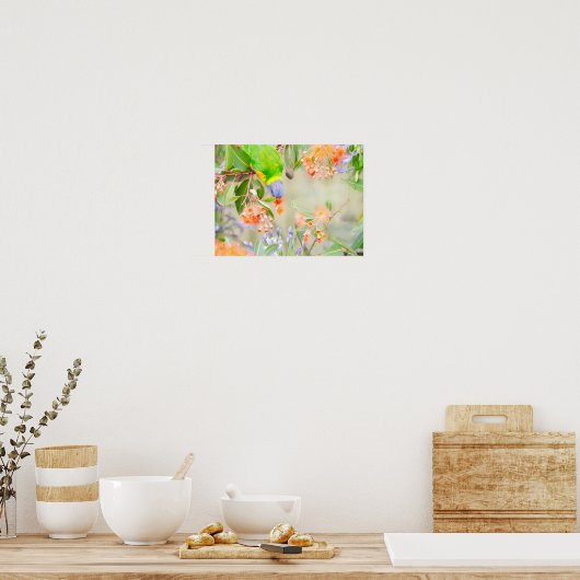 Rainbow Lorikeet Poster (Keuken)
