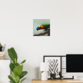 Rainbow Lorikeet Poster (Thuiskantoor)