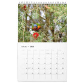 RAINBOW LORIKEET RURAL QUEENSLAND AUSTRALIË KALENDER (Jan 2026)
