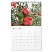 RAINBOW LORIKEET RURAL QUEENSLAND AUSTRALIË KALENDER (Feb 2026)