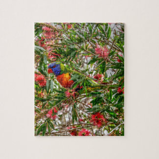 RAINBOW LORIKEET RURAL QUEENSLAND AUSTRALIË LEGPUZZEL