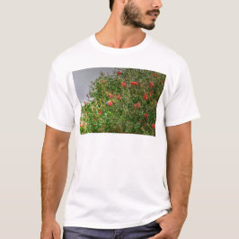 RAINBOW LORIKEET RURAL QUEENSLAND AUSTRALIË T-SHIRT