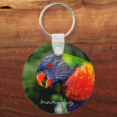 Rainbow Lorikeet Sleutelhanger (Voorkant)