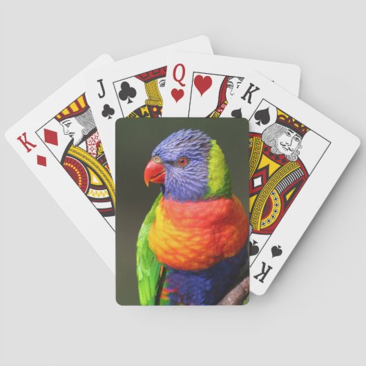 Rainbow Lorikeet Speelkaarten (Achterkant)