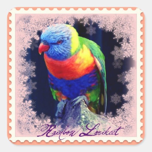 RAINBOW LORIKEET VIERKANTE STICKER (Voorkant)