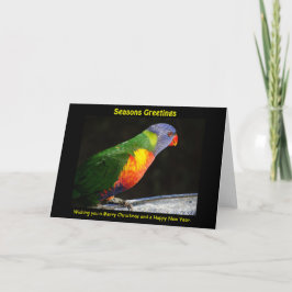 Rainbow Lorikeet Xmas Kaart