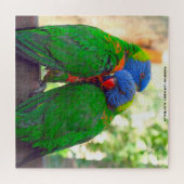 Rainbow Lorikeets Australië Legpuzzel (Horizontaal)