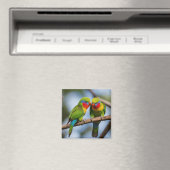 Rainbow Lorikeets Magneet (Insitu (Vaatwasser))