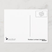 Rainbow Loriket, Australië Briefkaart (Achterkant)