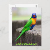 Rainbow Loriket, AUSTRALIË Briefkaart (Voorkant / Achterkant)