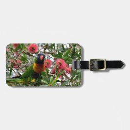 RAINBOW LORIKETT IN TREE QUEENSLAND AUSTRALIË BAGAGELABEL