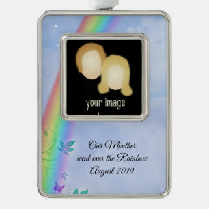 Rainbow Loss-Ornament Verzilverd Kader Ornament