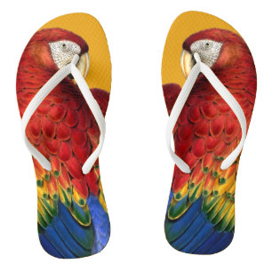 Rainbow Macaw Parrot Lover Bold en Summery Teenslippers