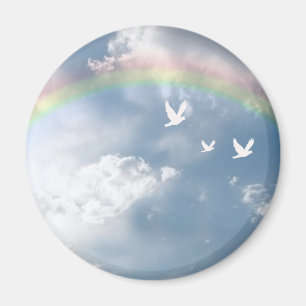 Rainbow Magnet Magneet
