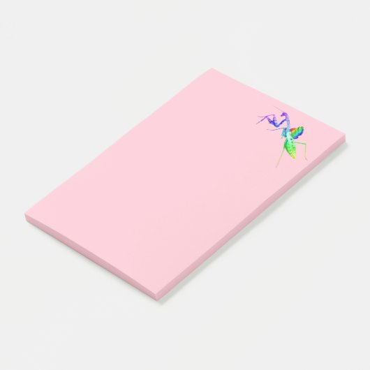 Rainbow Mantis en Toad Post-it® Notes (Schuin)