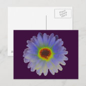 Rainbow Marigold Briefkaart (Voorkant / Achterkant)