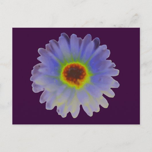 Rainbow Marigold Briefkaart (Voorkant)