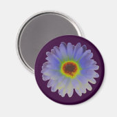 Rainbow Marigold Magnet Magneet (Voorkant / Achterkant)