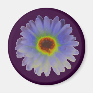 Rainbow Marigold Magnet Magneet