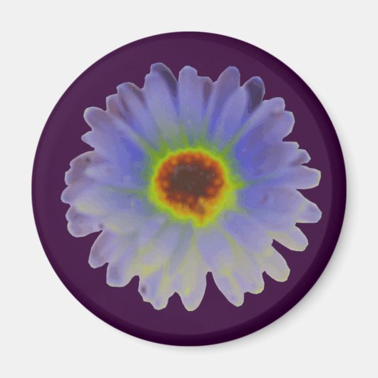 Rainbow Marigold Magnet Magneet (Voorkant)