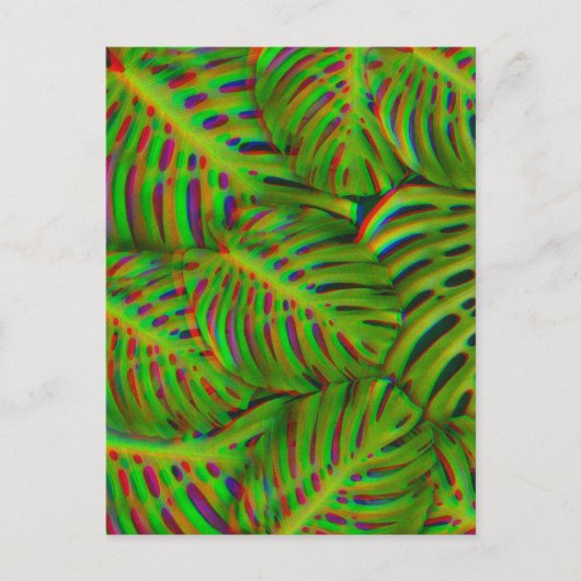 Rainbow Monstera laat Briefkaart over (Voorkant)