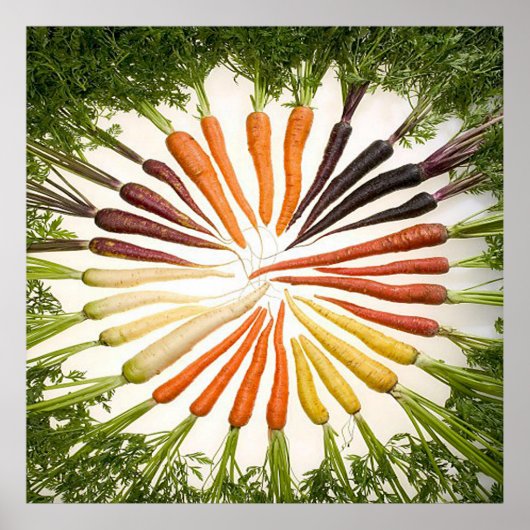Rainbow Multicolored Carrots Square Poster (Voorkant)