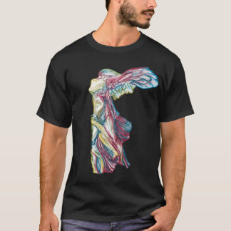 Rainbow Nike van Samothraciaanse kunstgeschiedenis T-shirt