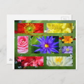 Rainbow of Flowers Photo Collage Briefkaart (Voorkant / Achterkant)