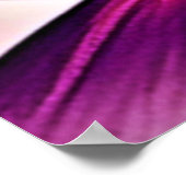 Rainbow Owl Perch Art Poster (Hoek)