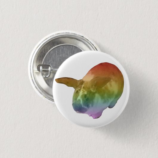 Rainbow Paddy-badge Ronde Button 3,2 Cm (Voorkant /achterkant)