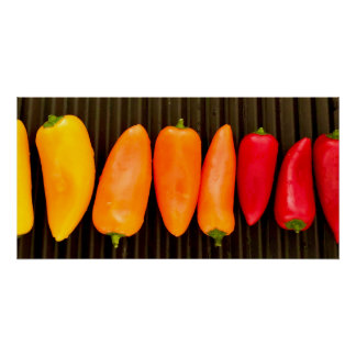 Rainbow Peppers Perfect Poster