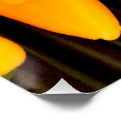 Rainbow Peppers Perfect Poster (Hoek)