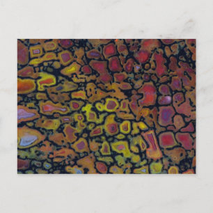 Rainbow Petrified Dinosaur Bone Briefkaart