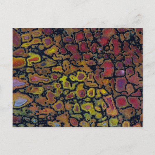 Rainbow Petrified Dinosaur Bone Briefkaart (Voorkant)