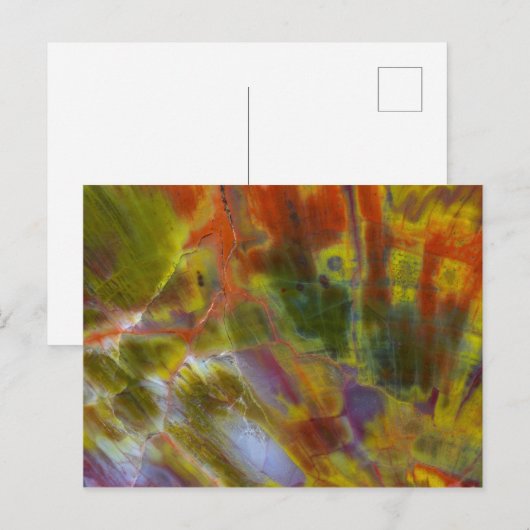 Rainbow Petrified Wood Briefkaart (Voorkant / Achterkant)