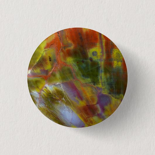 Rainbow Petrified Wood Ronde Button 3,2 Cm (Voorkant)